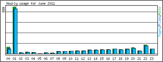 Hourly usage