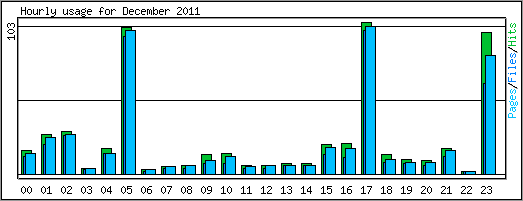 Hourly usage