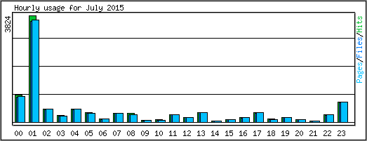 Hourly usage