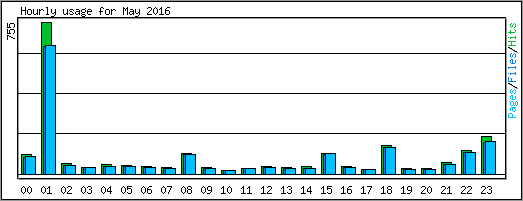 Hourly usage