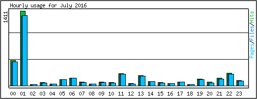 Hourly usage