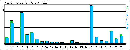 Hourly usage