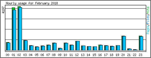 Hourly usage